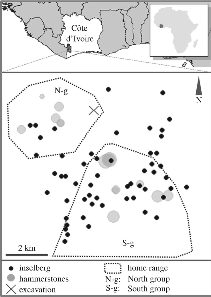 Figure 1.