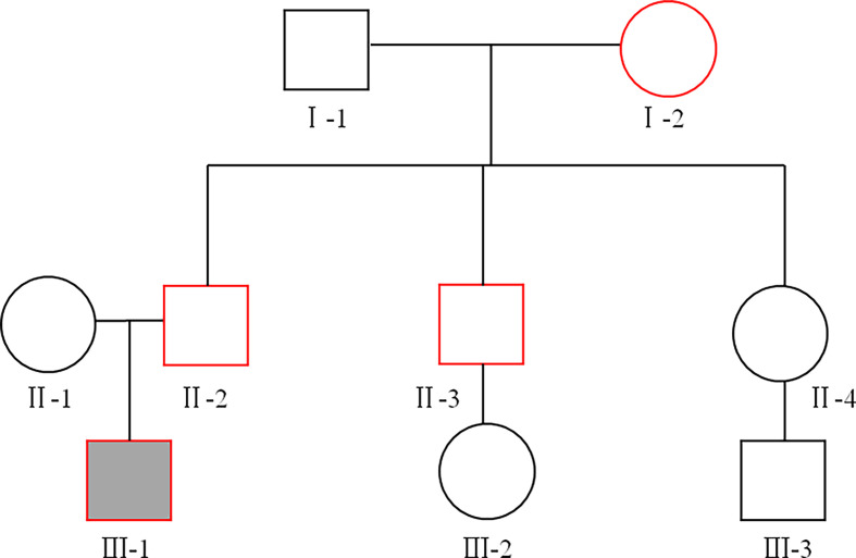 Figure 1