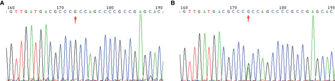 Figure 2