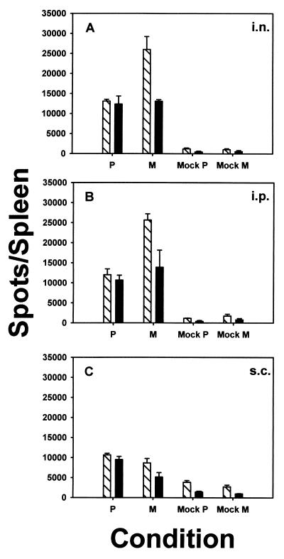 FIG. 6