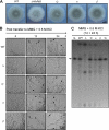 Fig. 6.