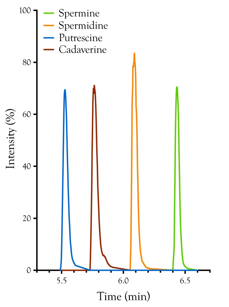 Figure B1