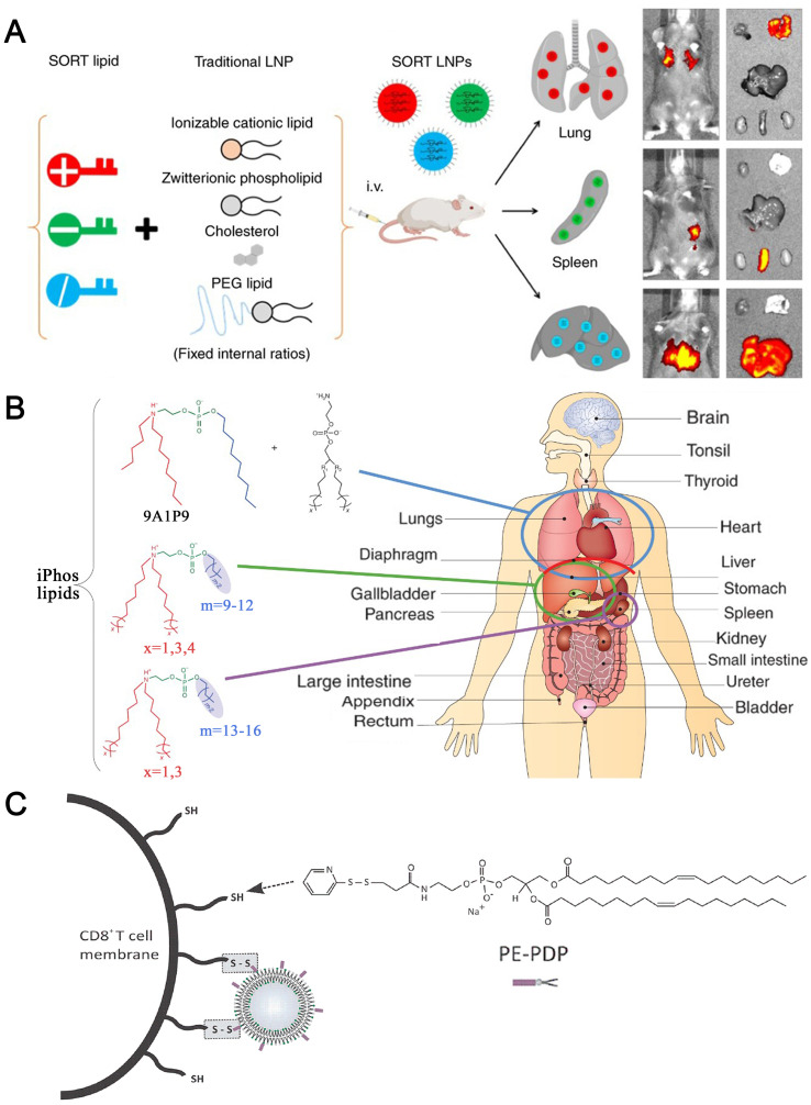 Fig. 9