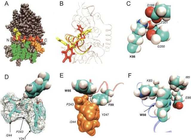 Figure 3.