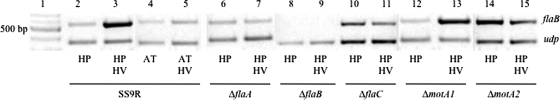 FIG. 5.