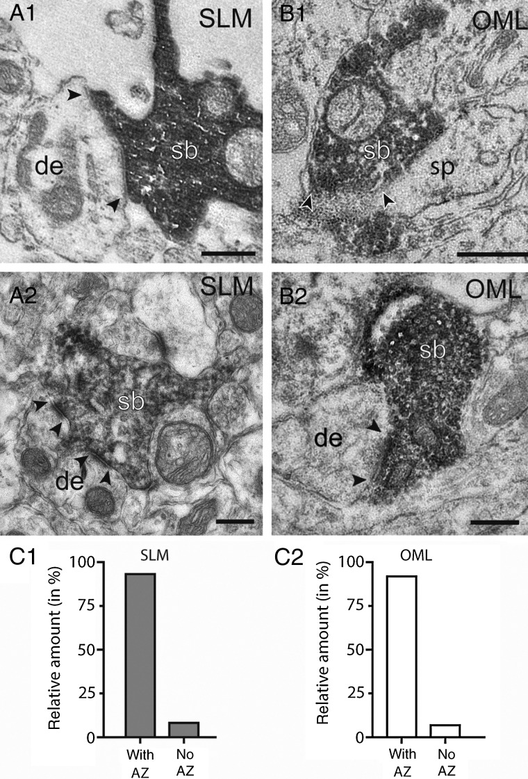 Figure 10.