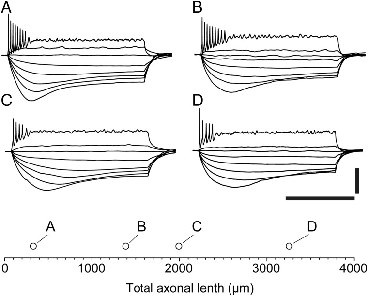 Figure 9.