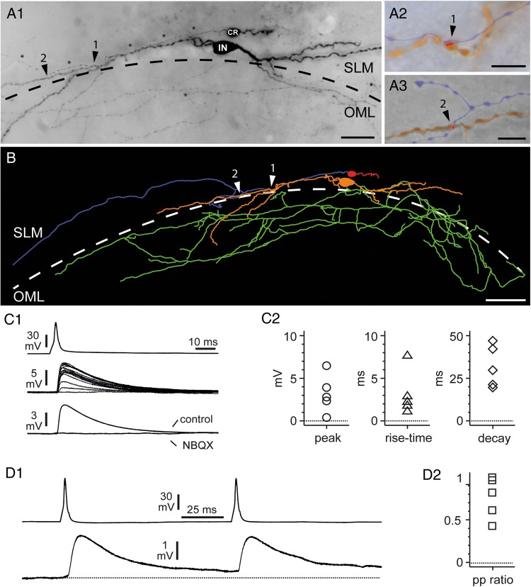 Figure 11.