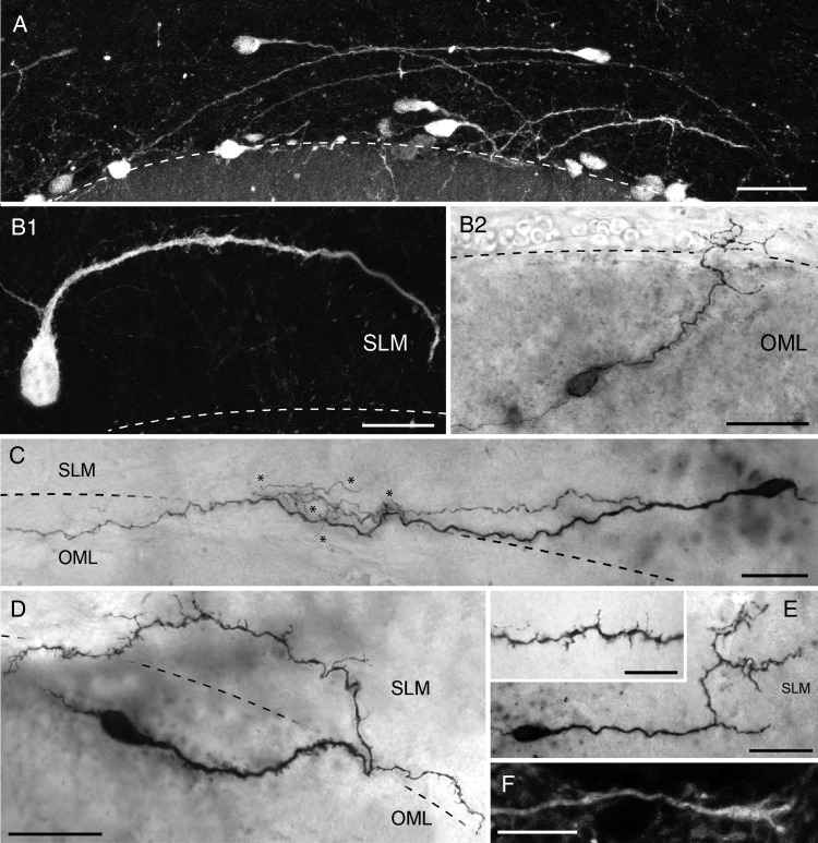 Figure 4.