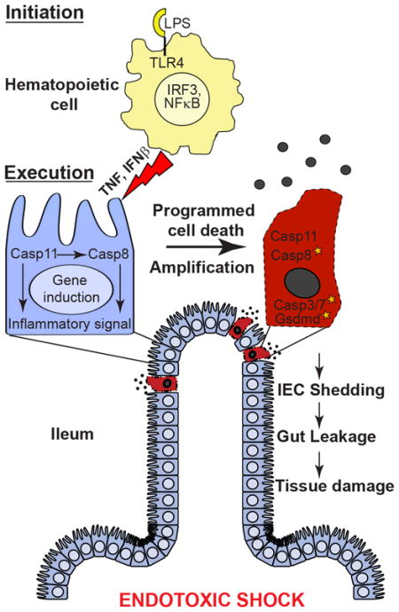 graphic file with name nihms980827u1.jpg