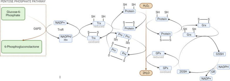 Fig. 6