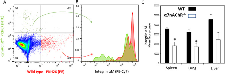 Fig. 7