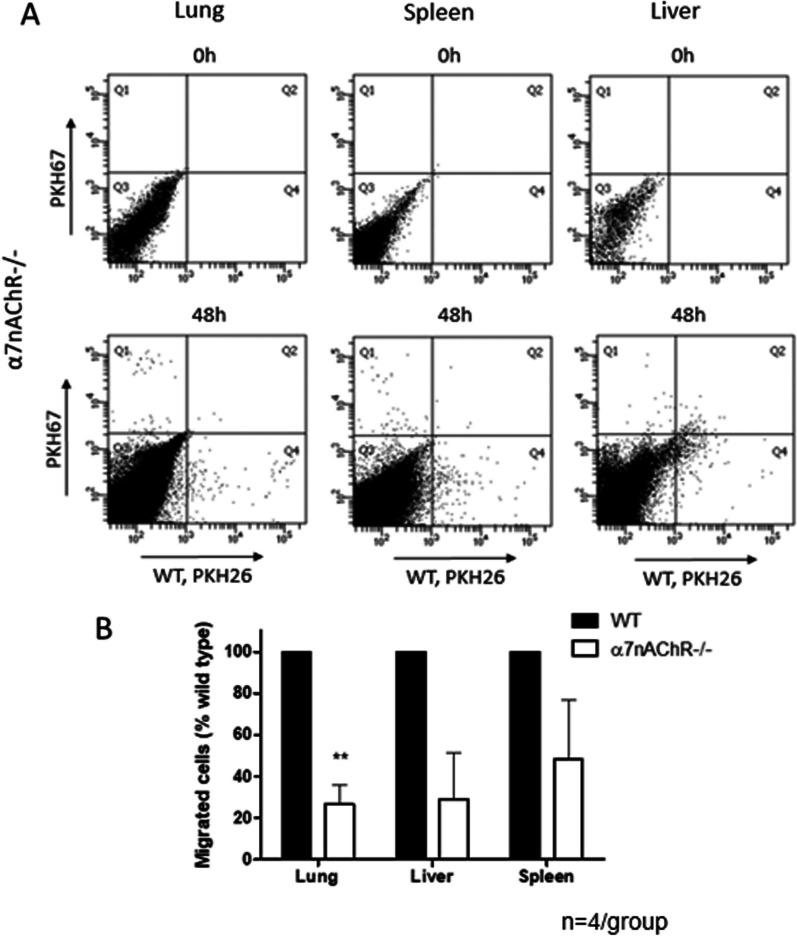 Fig. 4