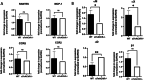 Fig. 6