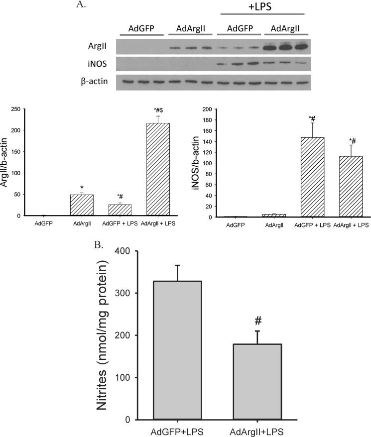 FIGURE 10.