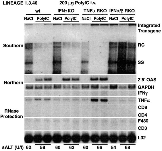 FIG. 6