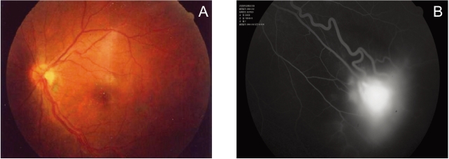 Fig. 6