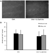 Fig. 11