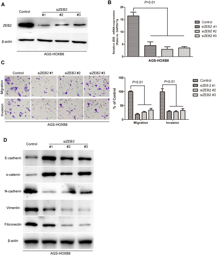 Fig. 12