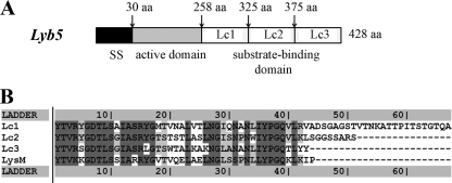 FIG. 1.