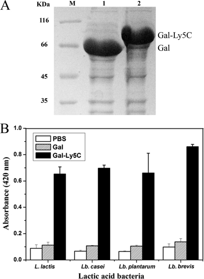 FIG. 7.