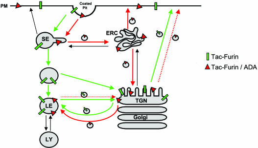 Figure 12.