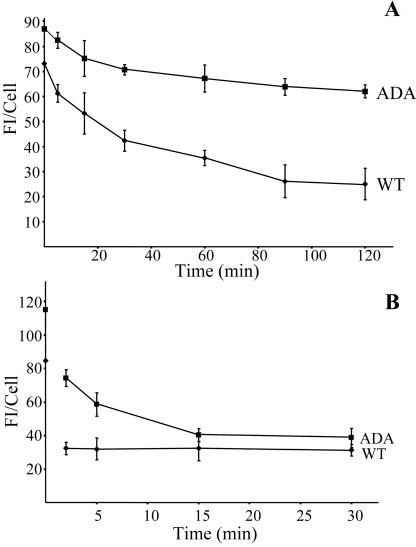 Figure 11.