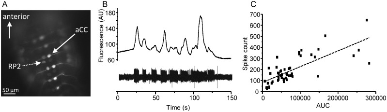 Fig 1