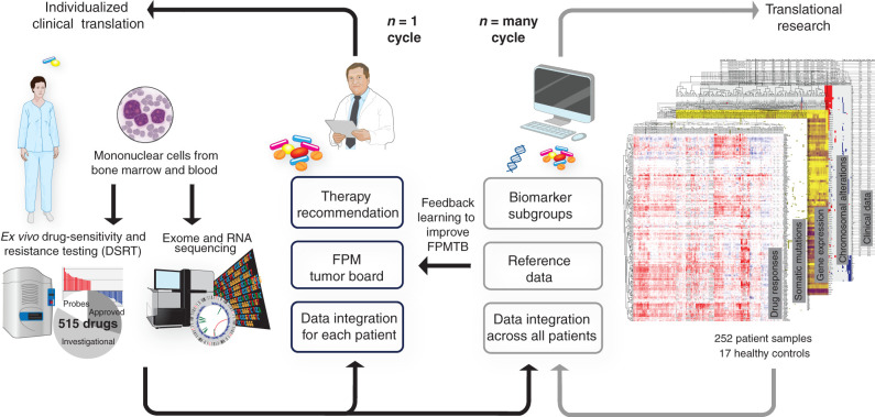 Figure 1. Schematic of the design for the functional precision systems medicine study. The diagram illustrates how functional molecular precision systems medicine integrates high-throughput drug response assay and molecular profiling, aiming at individualized clinical translation of data for patients with AML. The n = 1 cycle on the left illustrates prospective real-time clinical translation through an FPMTB approach. The drug response and sequencing data are analyzed and integrated within a patient with a goal to tailor therapies in a realistic time frame. The n = many cycle on the right illustrates the data integration across a large sample set. The main goal here is to find possible biomarkers of drug responses, which eventually could also help to refine the rules of the FPMTB.