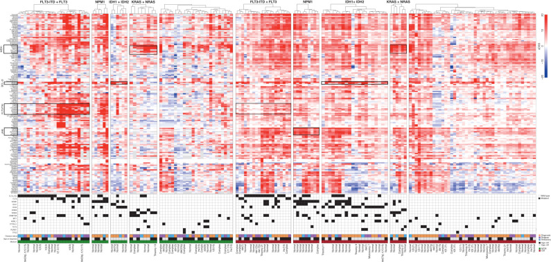 Figure 3. Drug-response patterns in molecular subsets of AML. AML patient samples were categorized into molecular subclasses according to mutation status in common AML driver genes. Hierarchical clustering of samples using Euclidean distance and ward linkage for sDSS of 146 drugs in individual molecular subsets. The drugs were selected considering variance >10 and data points available in at least 20% of the samples. Gray bars in the drug-response heatmap indicate missing data. Fourteen recurrent AML driver genes, with at least three samples recurrently mutated and VAF > 25%, were displayed to indicate the mutation patterns in the molecular subsets. The disease status, age, medium used for drug testing, and cytogenetics information for each patient are displayed in the lower panel.