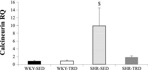 Fig. 4.