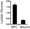 Figure 1—figure supplement 7.