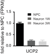 Figure 5—figure supplement 1.