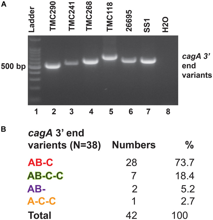 FIGURE 4