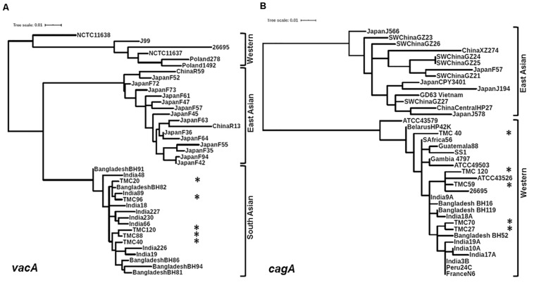 FIGURE 3