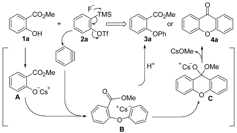 Scheme 2