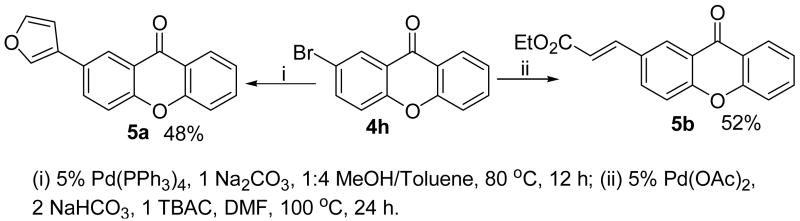 Scheme 4