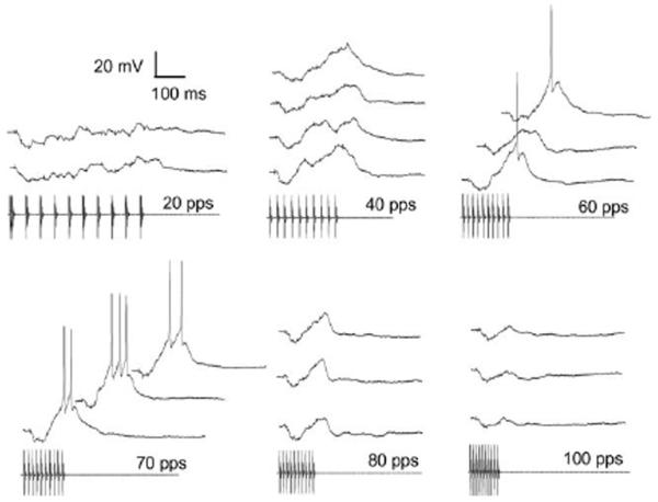 Fig. 9