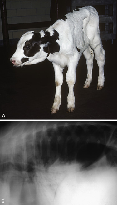 Fig. 4.28