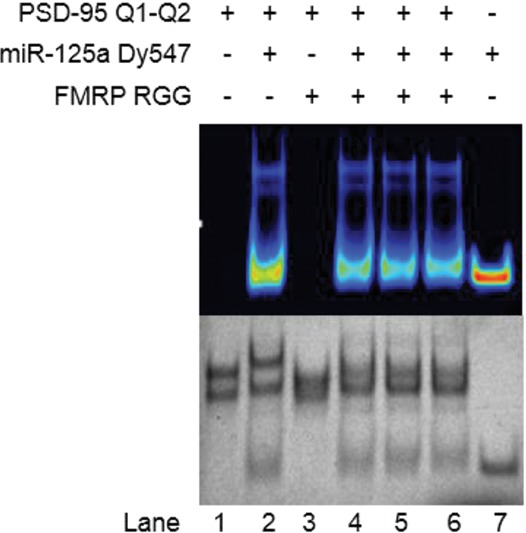 FIGURE 11.