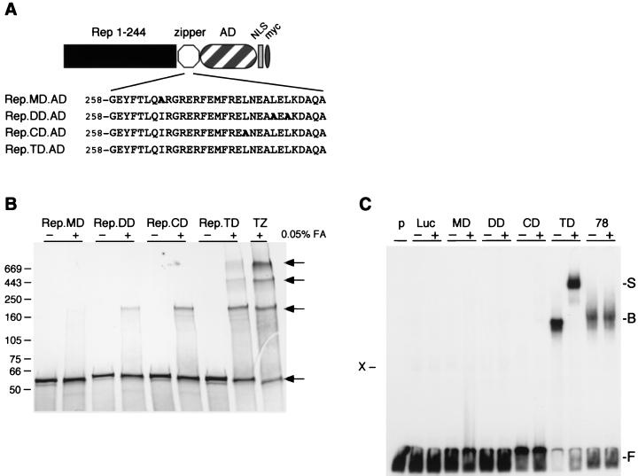 FIG. 4