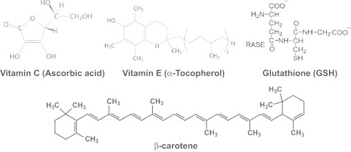 Fig. 12