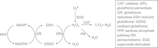 Fig. 11