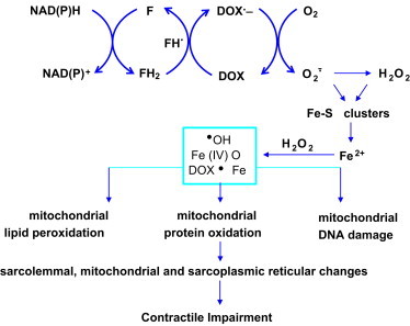 Fig. 18