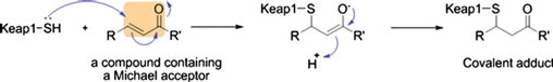 Fig. 16