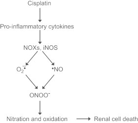 Fig. 19