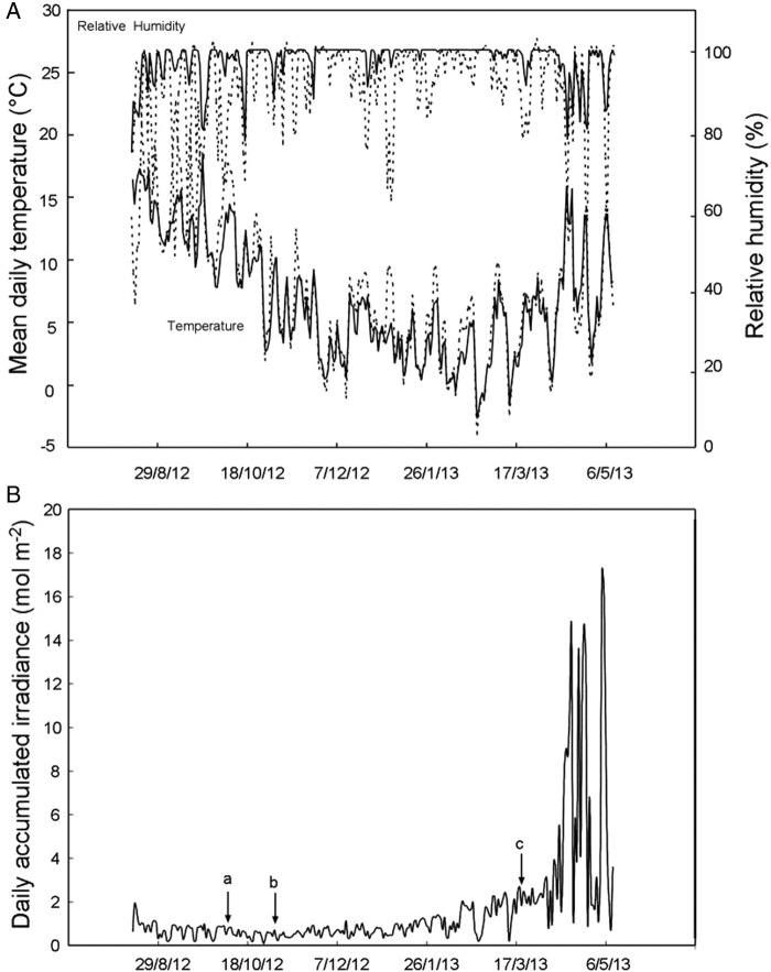 Figure 1.