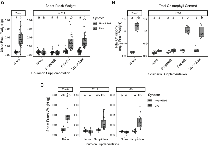 Figure 6