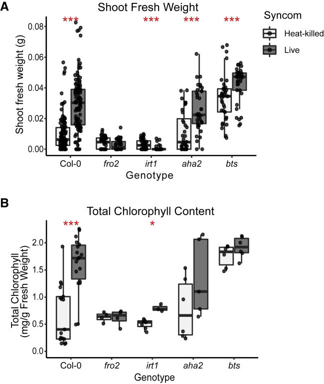 Figure 4