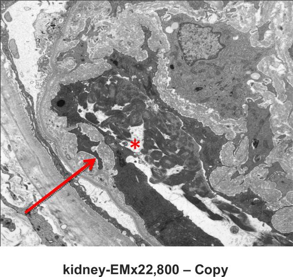 Fig. 1. (c)